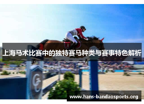 上海马术比赛中的独特赛马种类与赛事特色解析 上海马术比赛中的独特赛马种类与赛事特色解析