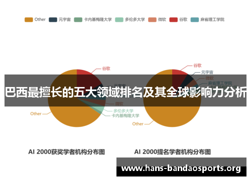 巴西最擅长的五大领域排名及其全球影响力分析