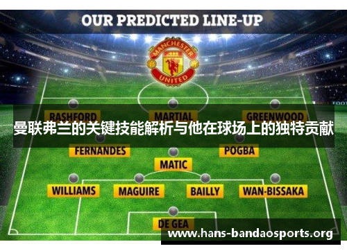 曼联弗兰的关键技能解析与他在球场上的独特贡献